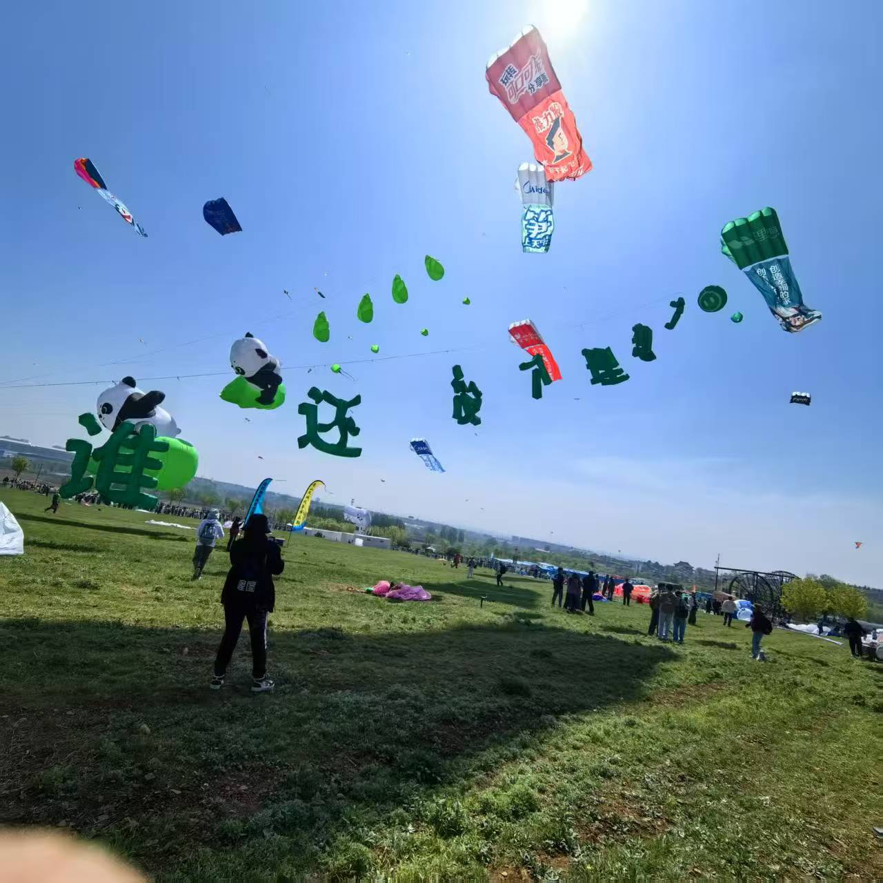 舟山市风筝定制风筝定制 - 厂家